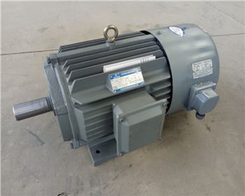 變頻三相異步電動機(jī)